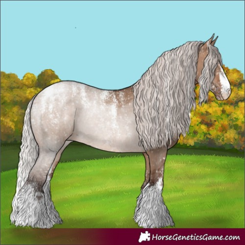 Horse Color:Powder White Silver Brown Dun Appaloosa Rabicano 