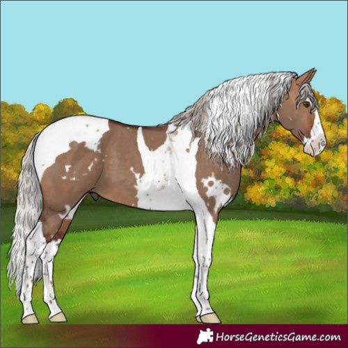 Horse Color:White Spotted Silver Brown Dun Splash Tobiano 