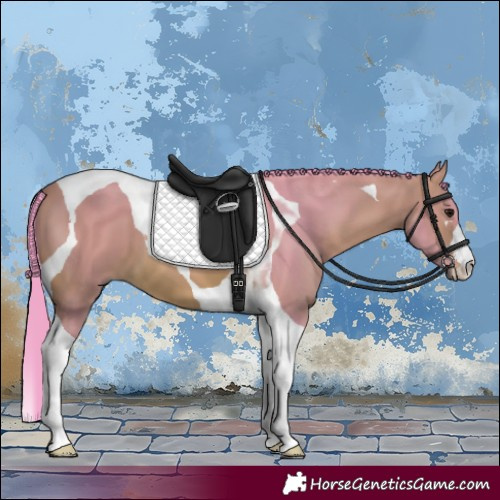 Horse Color:Watercolor Bay Tobiano