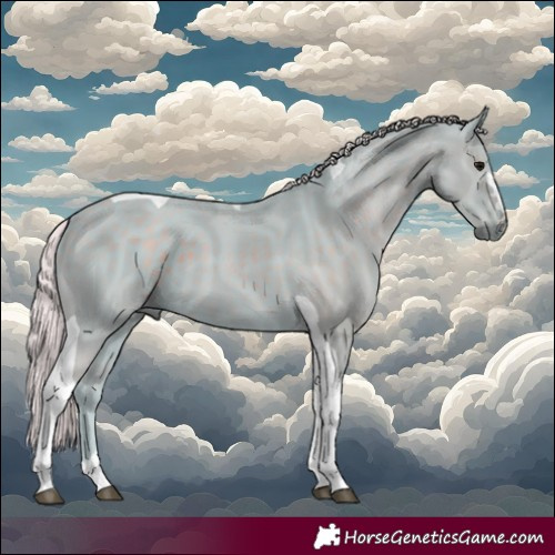 Horse Color:Watercolor Silver Smoky Black Tobiano 