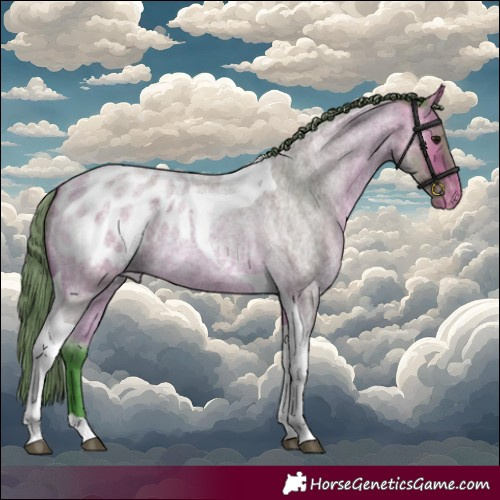Horse Color:Watercolor Buckskin Roan Tobiano Appaloosa 