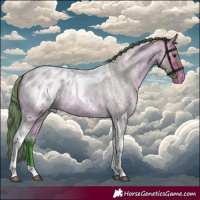 Horse Color:Watercolor Buckskin Roan Tobiano Appaloosa