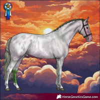 Horse Color:Watercolor Buckskin Roan Tobiano Appaloosa 