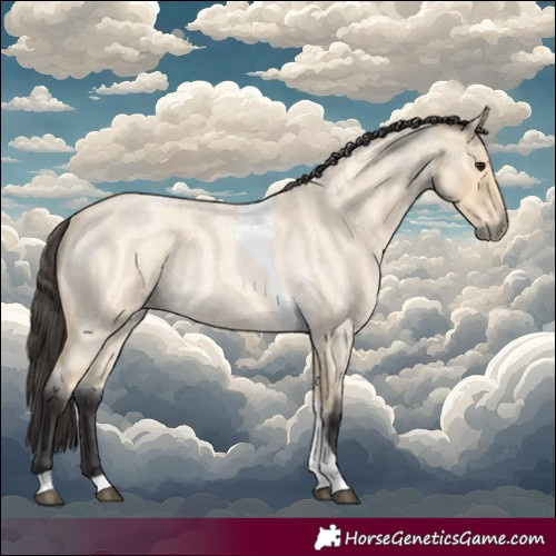 Horse Color:Buckskin Roan Tobiano 