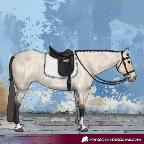 Horse Color:Buckskin Roan Tobiano 