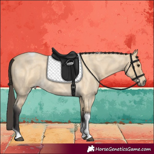 Horse Color:Buckskin Roan Tobiano 