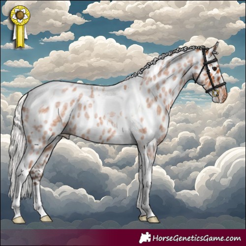 Horse Color:Silver Bay Roan Tobiano Skewed Appaloosa 