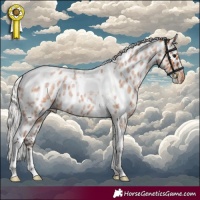 Horse Color:Silver Bay Roan Tobiano Skewed Appaloosa 