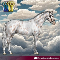 Horse Color:Silver Bay Roan Tobiano Skewed Appaloosa