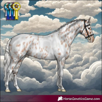 Horse Color:Silver Bay Roan Tobiano Skewed Appaloosa 