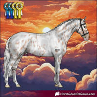 Horse Color:Silver Bay Roan Tobiano Skewed Appaloosa 