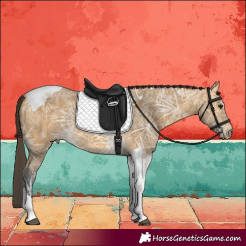Horse Color:Buckskin Ice Tobiano 