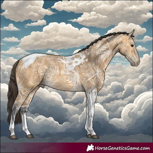 Horse Color:Buckskin Ice Tobiano 