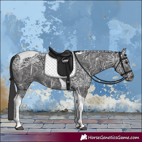 Horse Color:Smoky Black Ice Tobiano