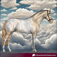 Horse Color:Gold Champagne Dun Tobiano Appaloosa 