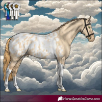 Horse Color:Gold Champagne Dun Tobiano Appaloosa 