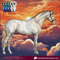 Horse Color:Gold Champagne Dun Tobiano Appaloosa
