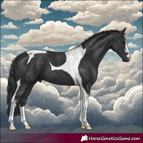 Horse Color:Black Tobiano