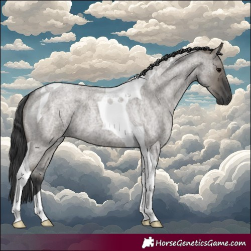 Horse Color:Grullo Roan Tobiano