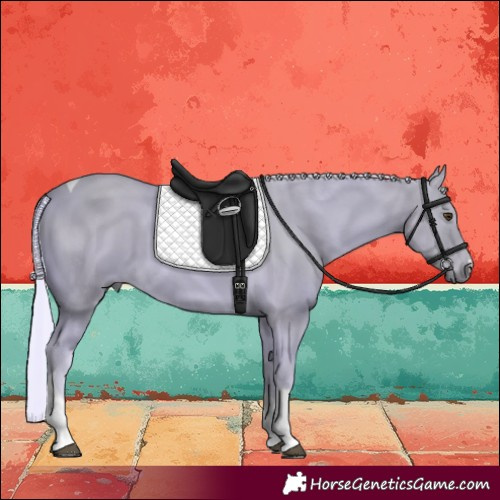 Horse Color:Watercolor Palomino Tobiano 