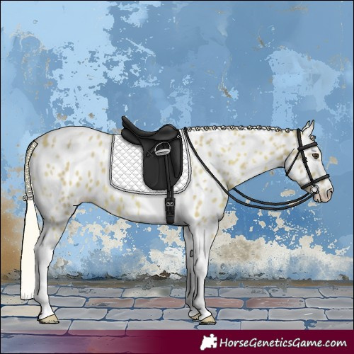 Horse Color:Watercolor Palomino Tobiano Appaloosa 