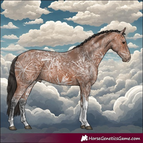 Horse Color:Bay Ice Tobiano 
