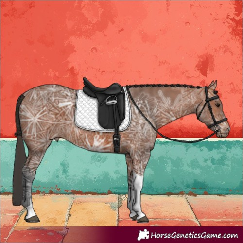 Horse Color:Bay Ice Tobiano 