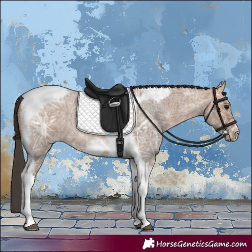Horse Color:Bay Ice Roan Dun Tobiano Frame 