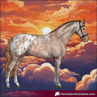 Horse Color:Chestnut Ice Tobiano Appaloosa