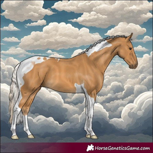 Horse Color:Palomino Tobiano 