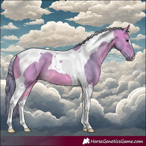 Horse Color:Watercolor Buckskin Tobiano 