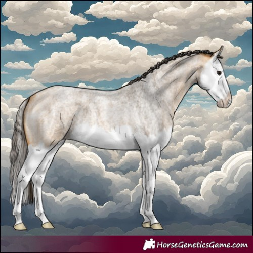 Horse Color:Buckskin Roan Splash