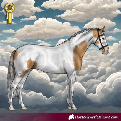 Horse Color:Buckskin Splash Tobiano Frame 
