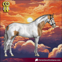 Horse Color:Buckskin Splash Tobiano Frame