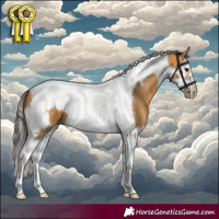 Horse Color:Buckskin Splash Tobiano Frame 