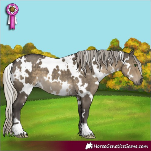 Horse Color:White Spotted Silver Smoky Grullo 