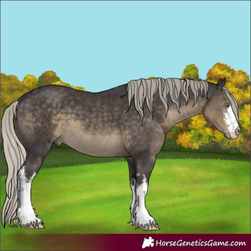 Horse Color:White Spotted Silver Smoky Black