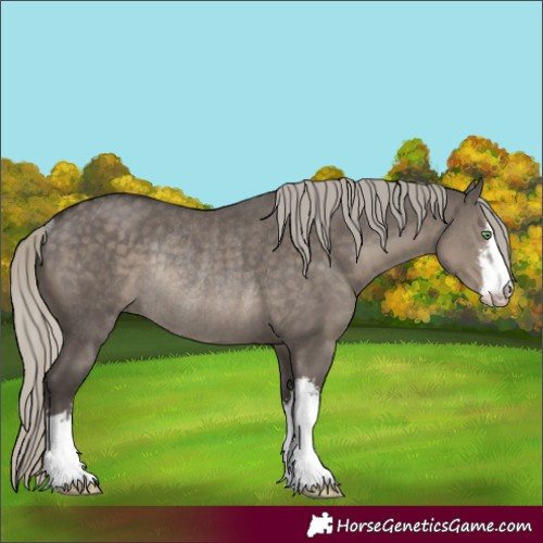 Horse Color:White Spotted Silver Smoky Grullo Rabicano