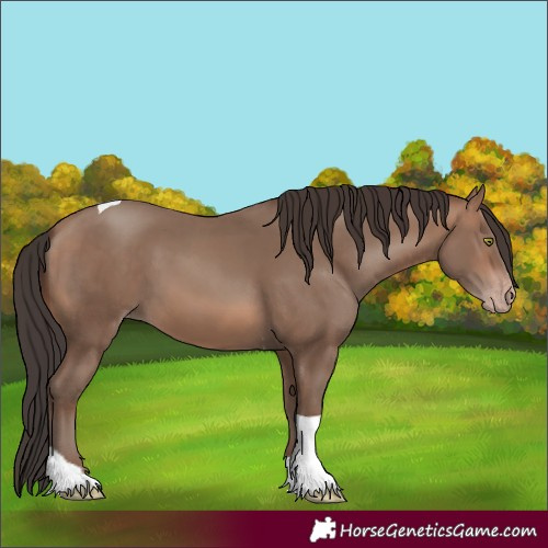 Horse Color:Sable Champagne Tobiano Rabicano 