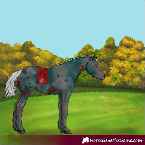 Horse Color:ERROR: UNKNOWN ANOMALY