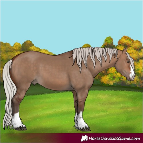 Horse Color:Silver Brown Dun