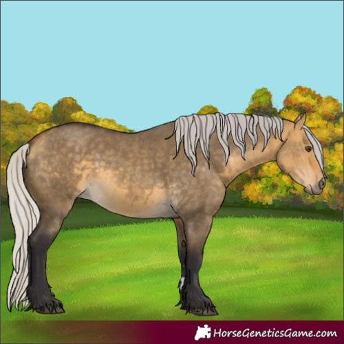 Horse Color:Silver Buckskin Dun