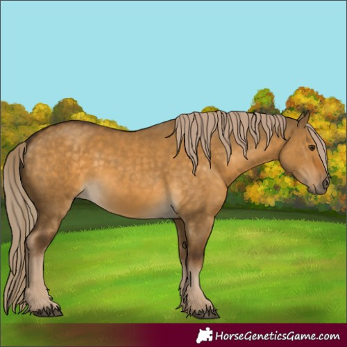 Horse Color:Chocolate Palomino Dun