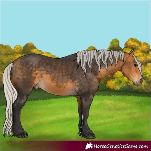 Horse Color:Silver Buckskin 