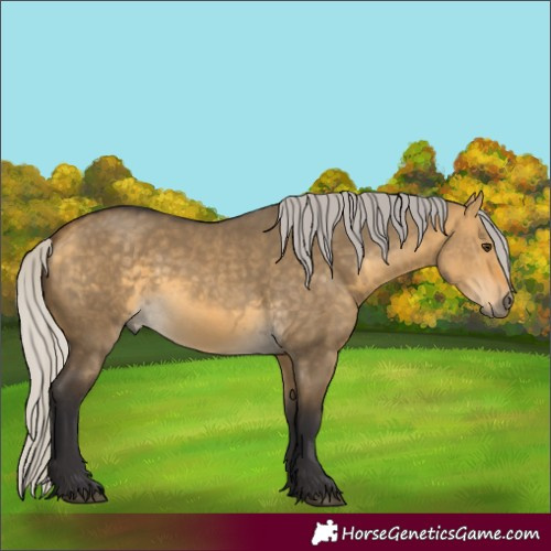 Horse Color:Silver Buckskin Dun 
