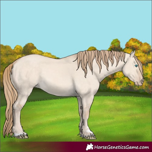 Horse Color:Perlino Dun 