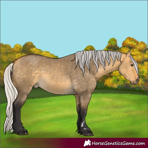 Horse Color:Silver Buckskin Dun 