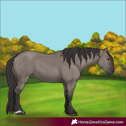 Horse Color:Smoky Grullo 