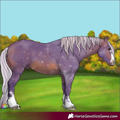 Horse Color:Watercolor Silver Brown 