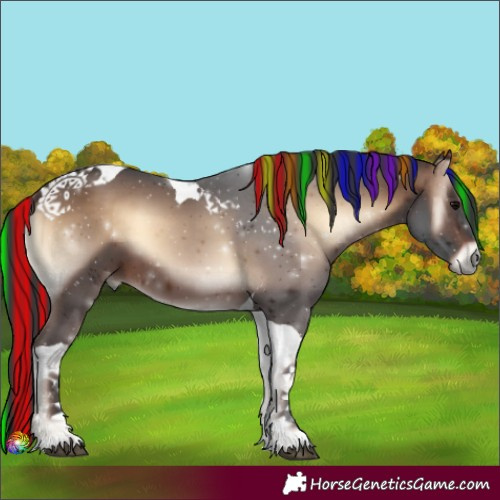 Horse Color:Painted Brown Onyx Tobiano 